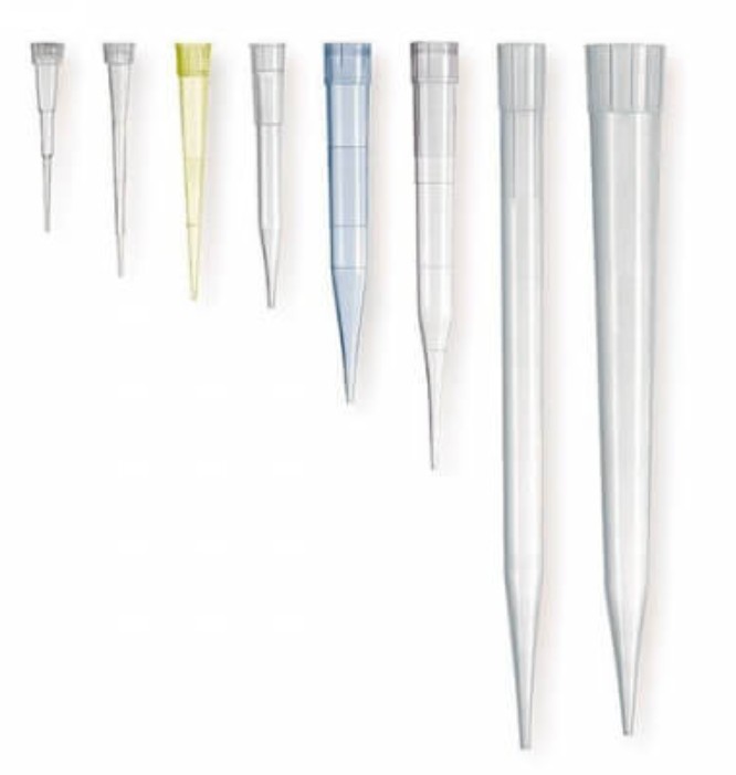 Pipette Tips